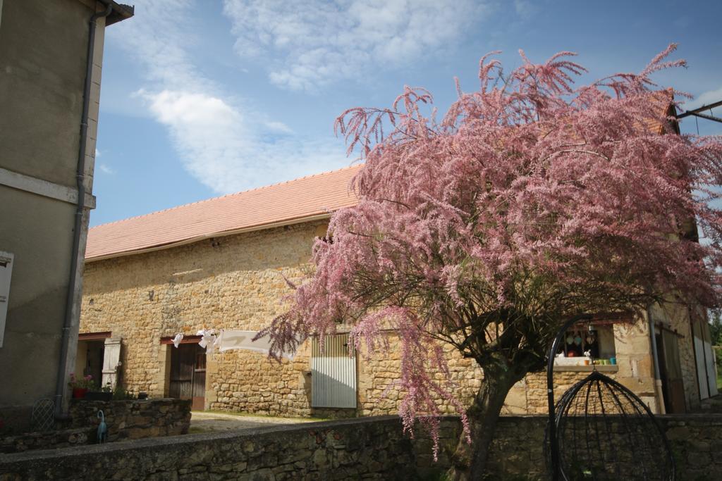 La Maison Du Bonheur Anlhiac Buitenkant foto